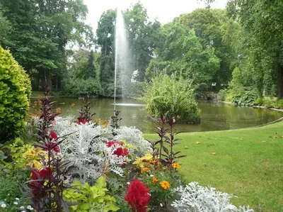 Jardin de l'établissement Le Jardin des Plantes