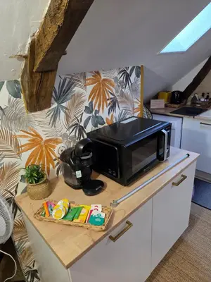 Cuisine ou kitchenette dans l'établissement Rêve de Loire