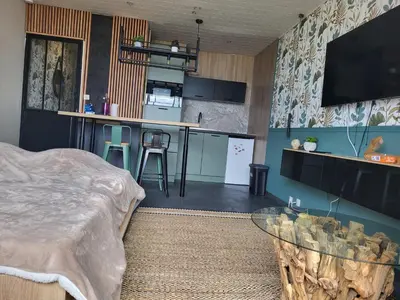 Télévision ou salle de divertissement dans l'établissement L escatade de Saint jean de monts