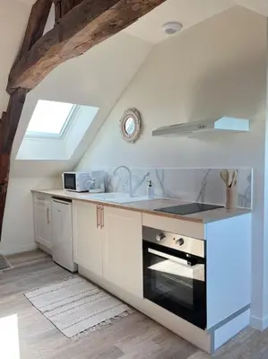 Cuisine ou kitchenette dans l'établissement *CASA Mendoza*