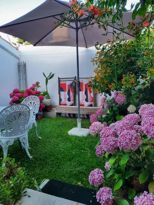 Jardin de l'établissement Cosy Studio Mezzanine 2 personnes Plage de Mardi Gras le Vieil