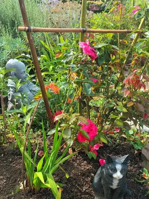 Jardin de l'établissement Previera