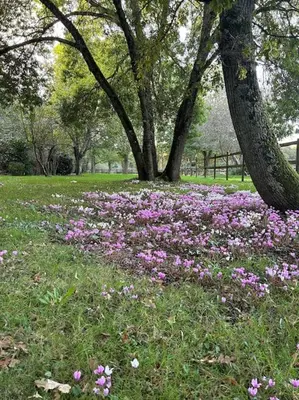 Jardin de l'établissement Demeure La Lande Fleurie