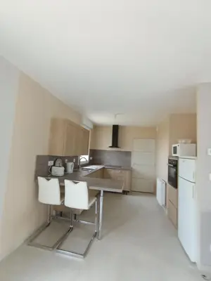 Cuisine ou kitchenette dans l'établissement Le palmier nantais