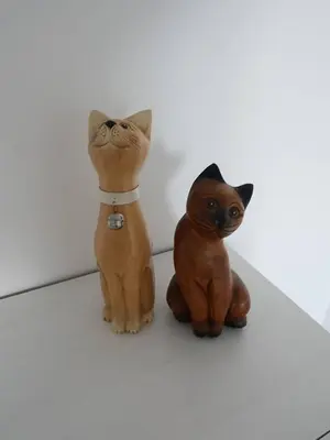 Animal ou animaux domestique(s) séjournant avec des clients dans l'établissement La perle océane de St Gilles