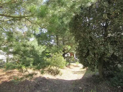 Jardin de l'établissement Pétrouchka dans les pins