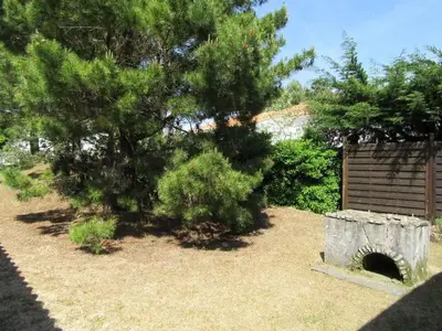 Jardin de l'établissement Pétrouchka dans les pins