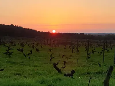 Lever ou coucher de soleil vu de l'appartement ou à proximité