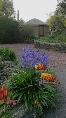 Jardin de l'établissement Esprit Zen