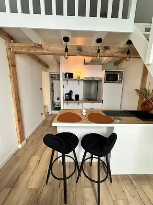 Cuisine ou kitchenette dans l'établissement Duplex lumineux