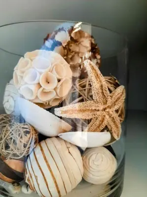 Nourriture dans l'appartement ou à proximité