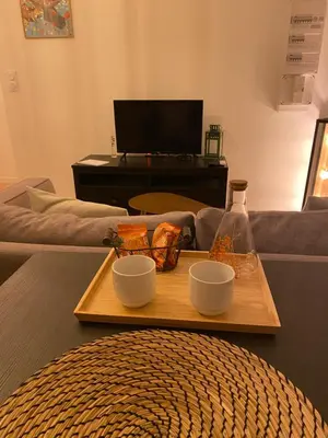 Télévision ou salle de divertissement dans l'établissement Hébergement indépendant proche aéroport Nantes Atlantique