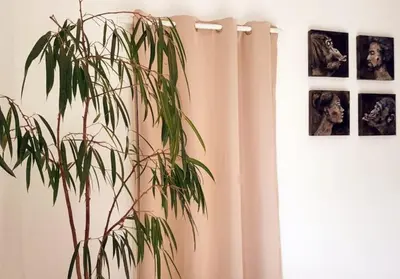 Plan de l'établissement La villa Heidi