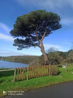 Paysage naturel près de la maison de vacances