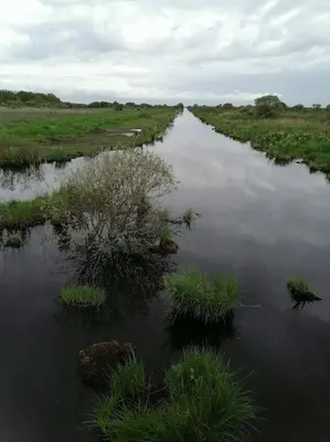 Paysage naturel près de la maison de vacances