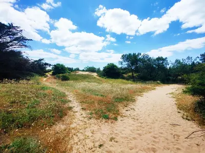 Paysage naturel près de l'appartement
