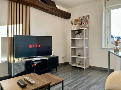 Télévision ou salle de divertissement dans l'établissement LE MILO - Appartement Cosy en Centre Ville