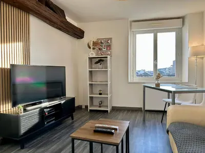 Télévision ou salle de divertissement dans l'établissement LE MILO - Appartement Cosy en Centre Ville