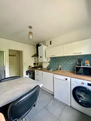 Cuisine ou kitchenette dans l'établissement Bel appartement Nantes
