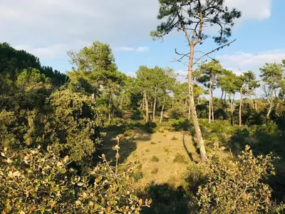 Paysage naturel près de la villa