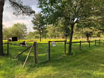 Jardin de l'établissement Bungalow 