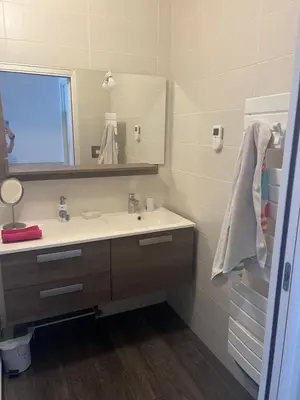 Salle de bains dans l'établissement Appartement Nantes Parc des expositions La Beaujoire