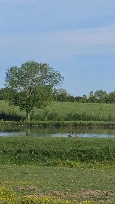Paysage naturel près de l'appartement