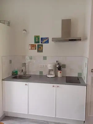 Cuisine ou kitchenette dans l'établissement Gite Le Gripeau