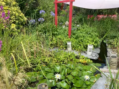 Jardin de l'établissement Domus26 Chambre Hortus