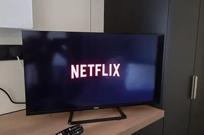Télévision ou salle de divertissement dans l'établissement tiny house confort