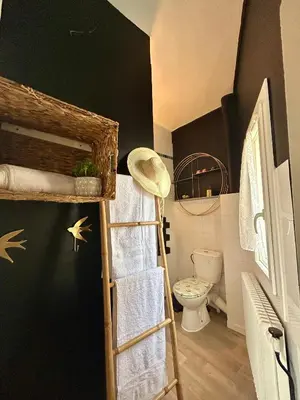 Salle de bains dans l'établissement LE BOTANICA Bel appartement situé à 5 min de la gare d'Angers