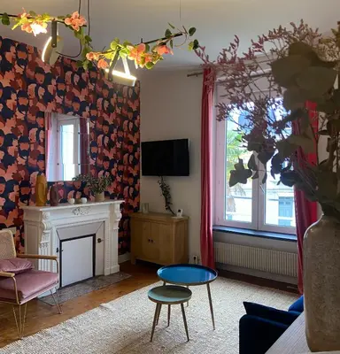 Télévision ou salle de divertissement dans l'établissement LE BOTANICA Bel appartement situé à 5 min de la gare d'Angers