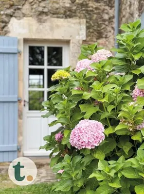 Jardin de l'établissement Tranquiloue - Maison de charme à la campagne - PuyduFou