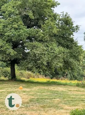 Jardin de l'établissement Tranquiloue - Maison de charme à la campagne - PuyduFou