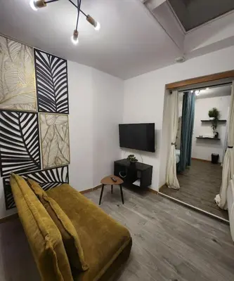 Télévision ou salle de divertissement dans l'établissement La petite loge de l'ile