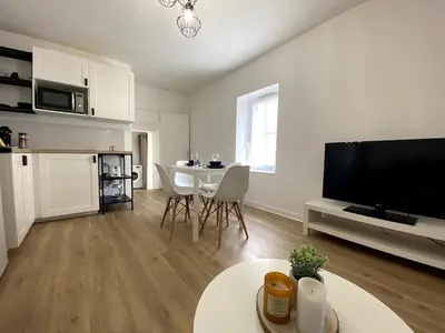 Cuisine ou kitchenette dans l'établissement Casa Jardin des Plantes : T2