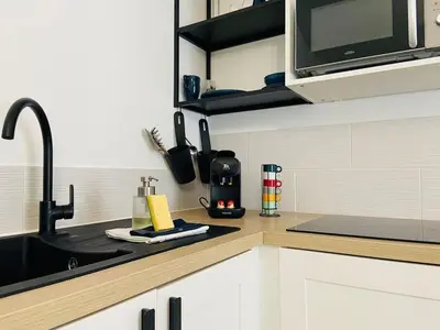 Cuisine ou kitchenette dans l'établissement Casa Jardin des Plantes : T2