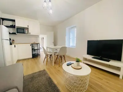 Cuisine ou kitchenette dans l'établissement Casa Jardin des Plantes : T2