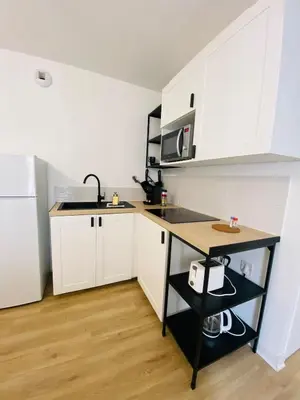 Cuisine ou kitchenette dans l'établissement Casa Jardin des Plantes : T2