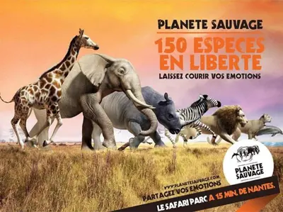 Animaux dans la maison de vacances ou à proximité