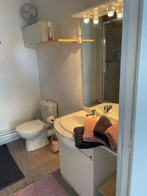 Salle de bains dans l'établissement Maisonnette safari planète sauvage et océan