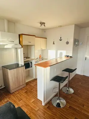 Cuisine ou kitchenette dans l'établissement Appartement Escale Paquebot Confort et Élégance