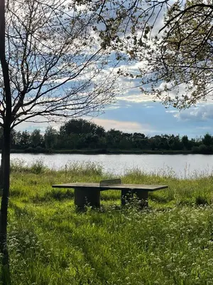 Paysage naturel près de le camping