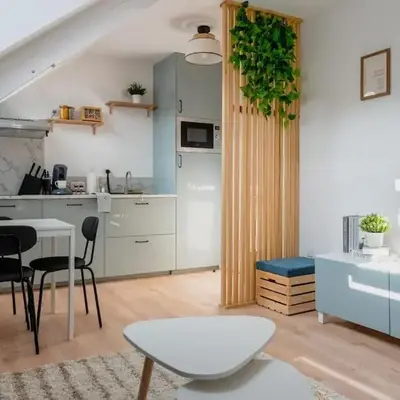 Suite Sous Velux T2