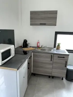 Cuisine ou kitchenette dans l'établissement Studio indépendant Hyper centre