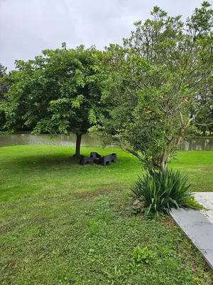 Jardin de l'établissement Menthe