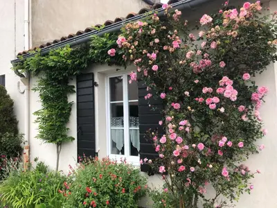 Jardin de l'établissement La Mulonniere