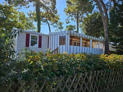 Jardin de l'établissement Naphtase MH01S Le Refuge des Pins