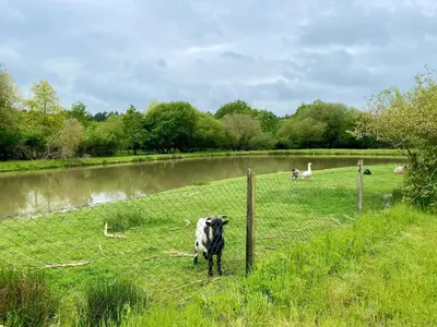 Paysage naturel près de la maison de vacances