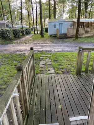 Jardin de l'établissement Camping Coeur de Vendée, la Boissière de Montaigu